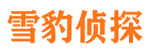 察隅市婚外情调查